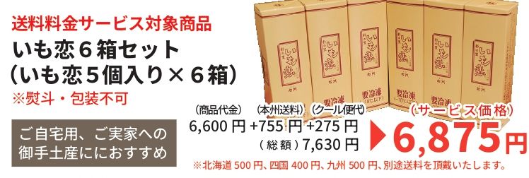 いも恋6箱セット